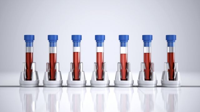 Снимка: Католически университет в Льовен